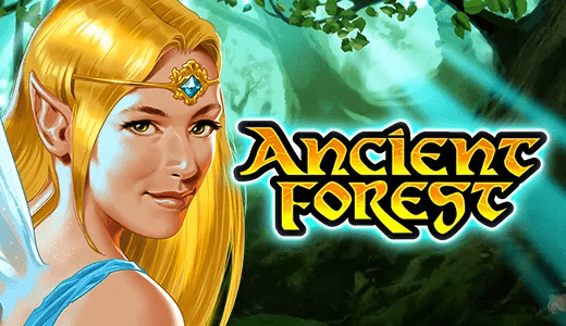 Ancient Forest